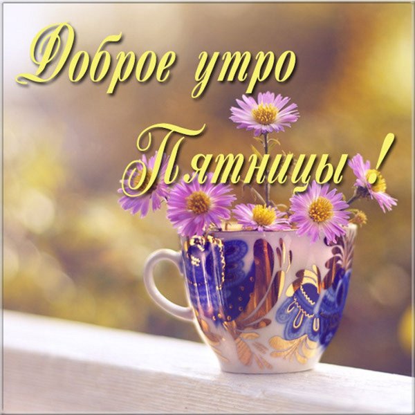 Лягушка под дождем