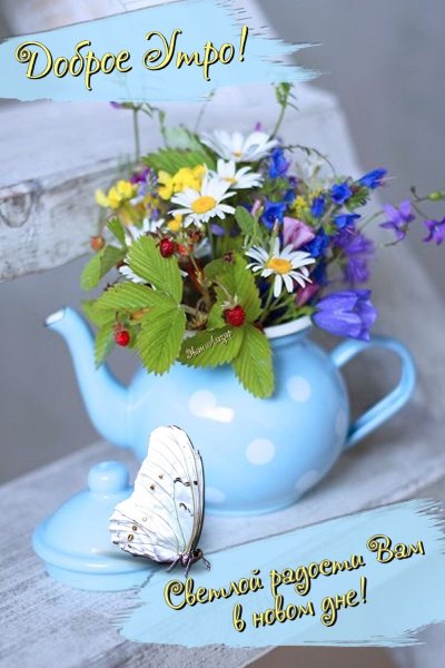 Открытки Веселые и добрые