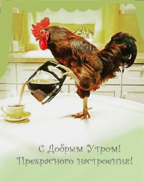 Доброго улыбчивого дня