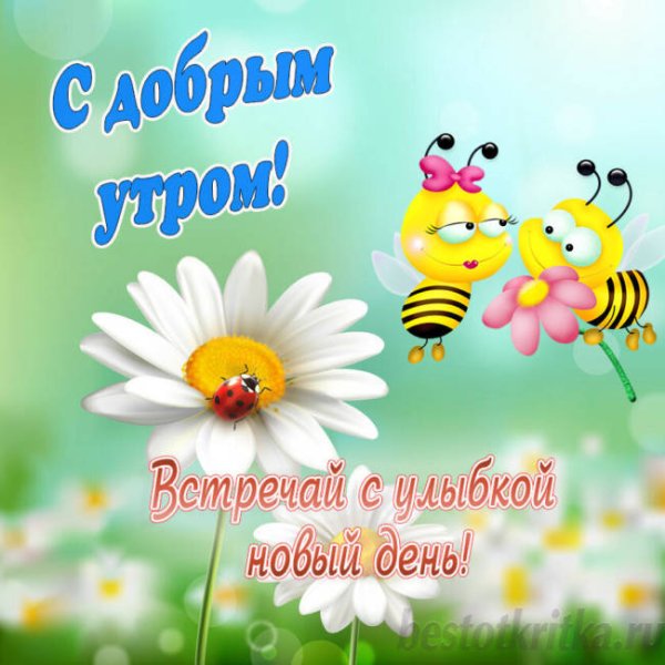 Доброе утро позитив