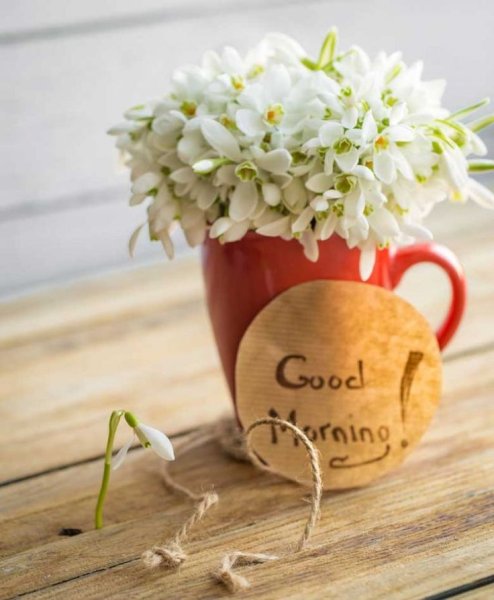 Доброе утро человечек который особое место занимает в Моем сердце