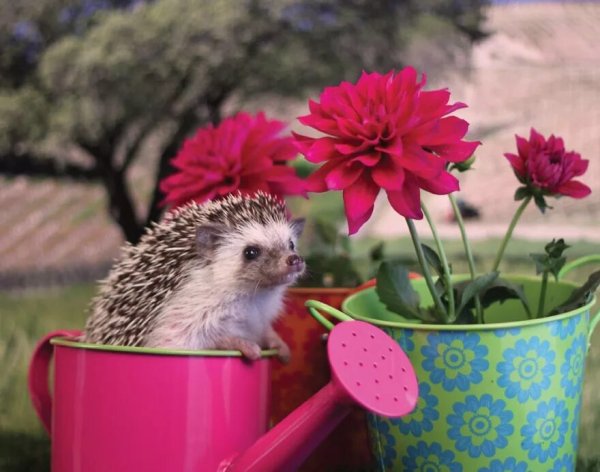 Открытки Веселые и добрые