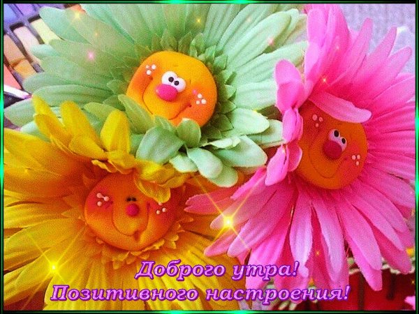 С добрым утром кролик