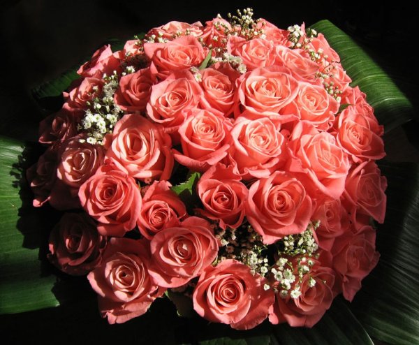 Букет роз большой и красивый