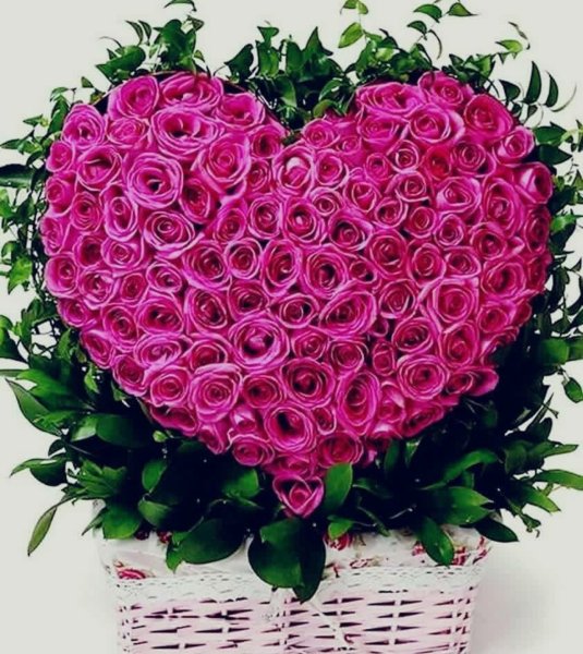 Большой букет розовых роз