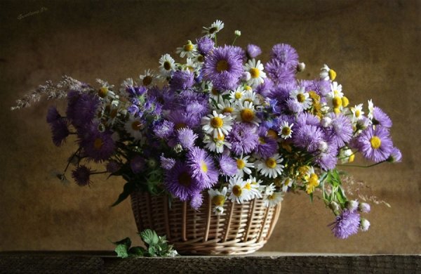 Букет полевых цветов