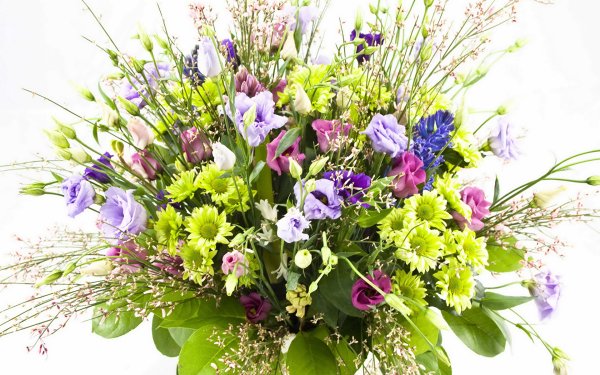 Красивые букеты из полевых цветов
