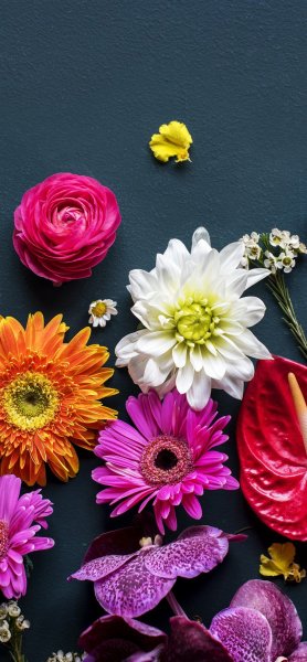 Пинк Фловерс