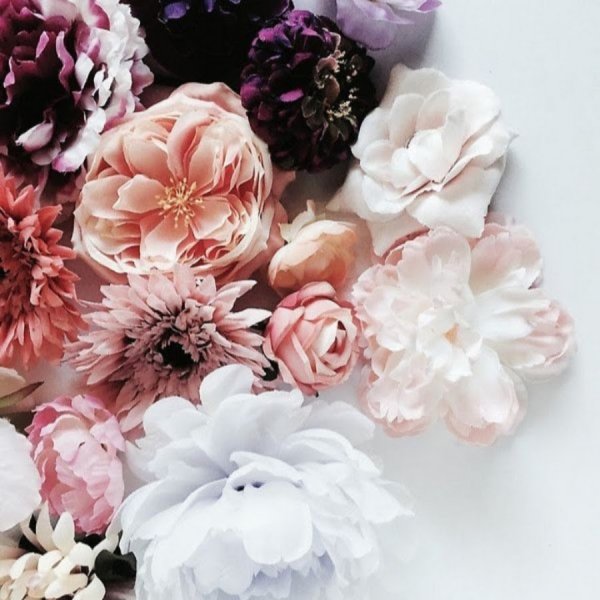 Цветы макро