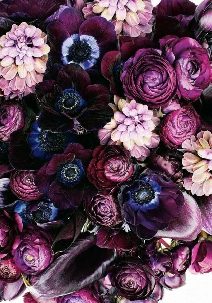 Темные цветы