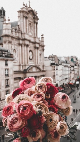 Бледно розовые цветы