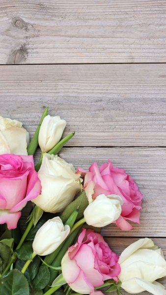 Пион нежно-розовый