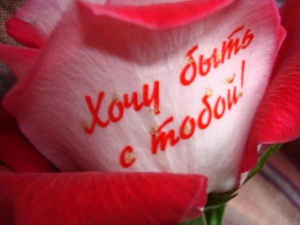 Красивые цветы с признанием в любви