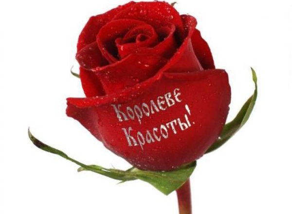 Надпись цветы