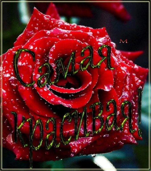 Розы с надписью