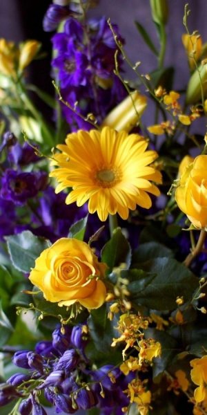 Живые цветы