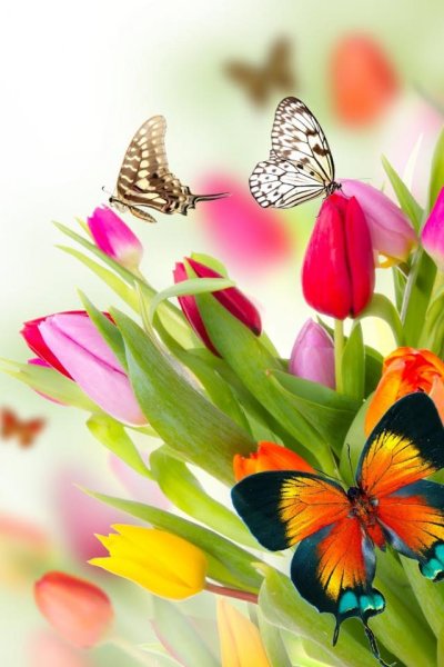 Яркие весенние цветы