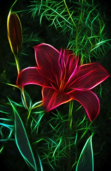 Весна цветы