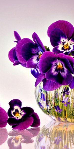 Бабочки на живых цветах