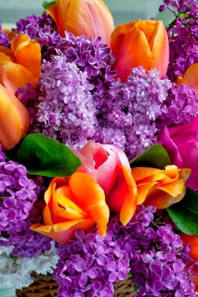 Красивые гифки на телефон