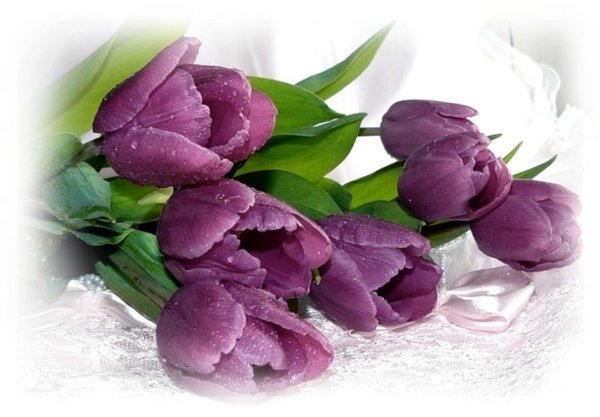 Весенний букет