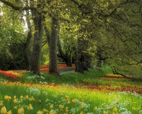 Красивая Поляна