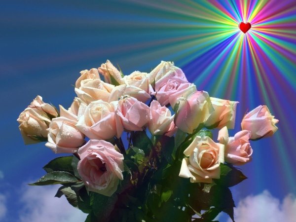 Букет цветов в солнечных лучах