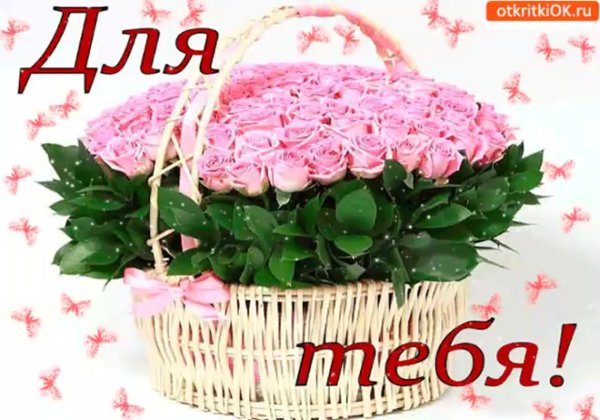 Букет цветов