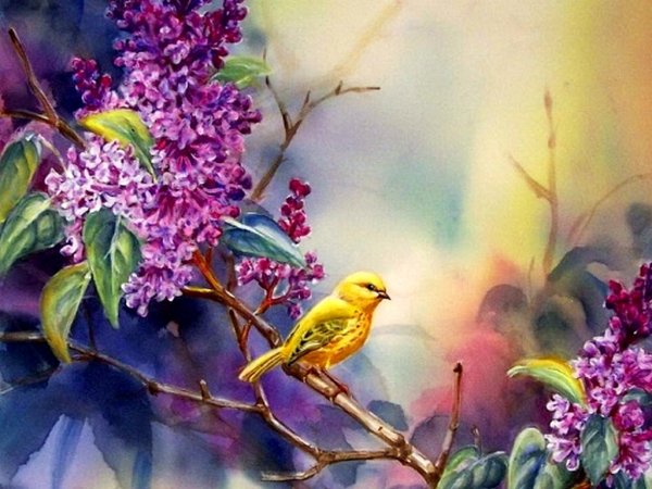 Доброе утро жизнь прекрасна