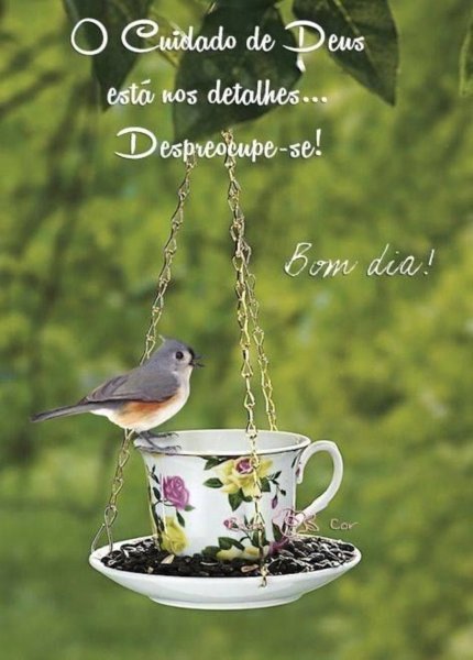 Хорошего дня птички