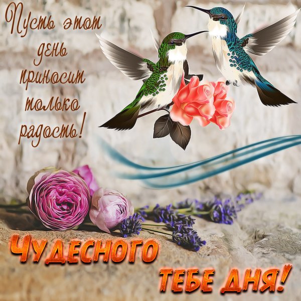 Доброго дня с птичками весной