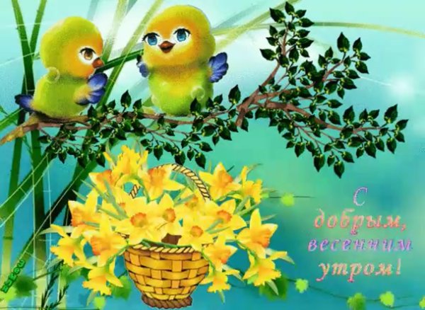 Доброе утро с птицами