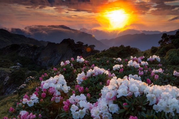 Весна водопад