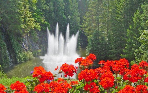 Красивый пейзаж