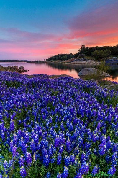 Гранд Титон горные Луга