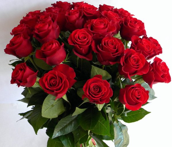 Букет роз с днем рождения