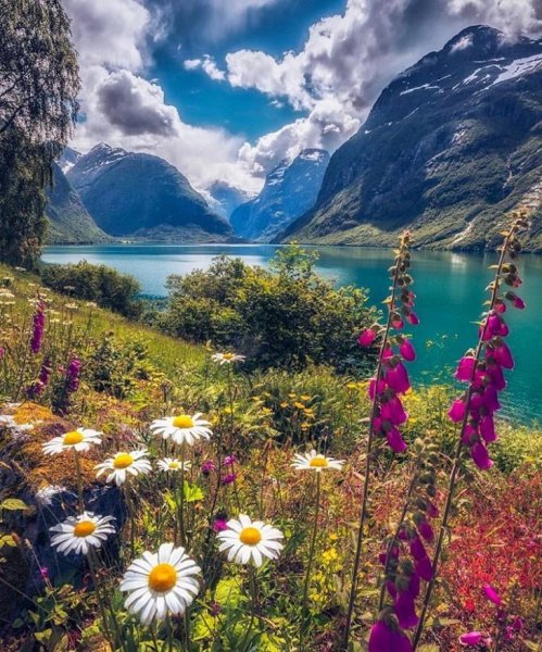 Чудесные пейзажи