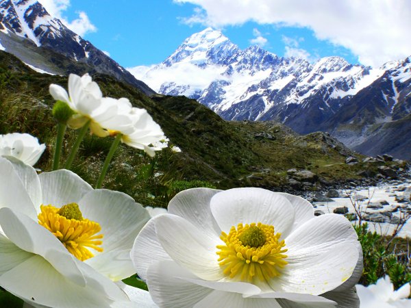 Красивые картинки