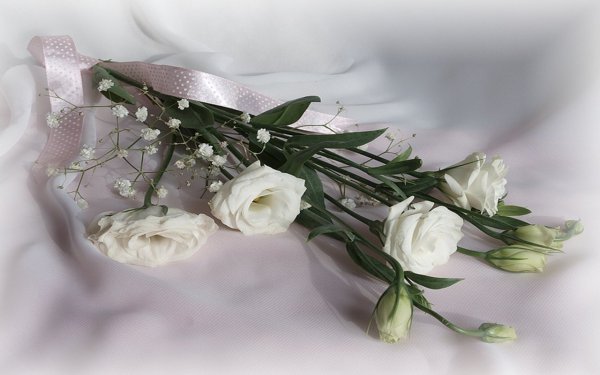 Света с днём рождения