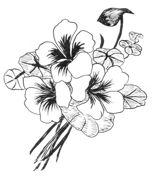 Тату эскизы