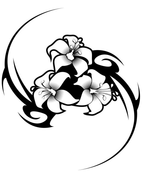 Красивые цветы черно белые