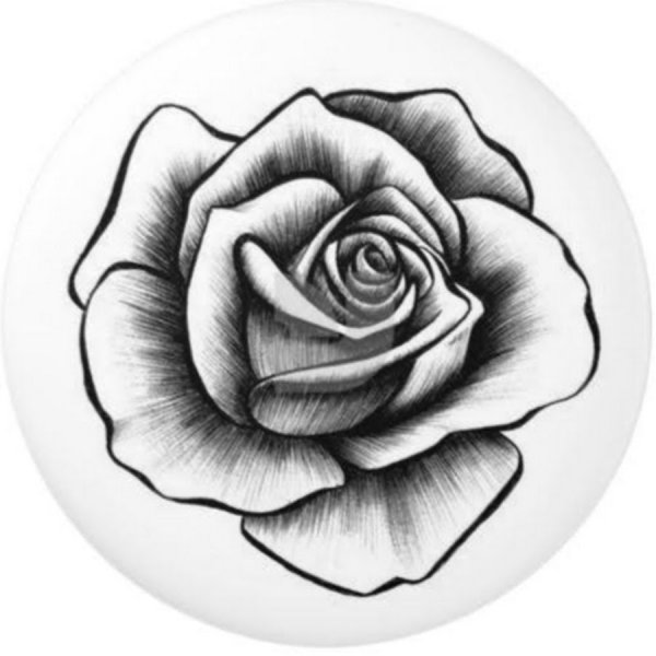 Графика розы черно белые