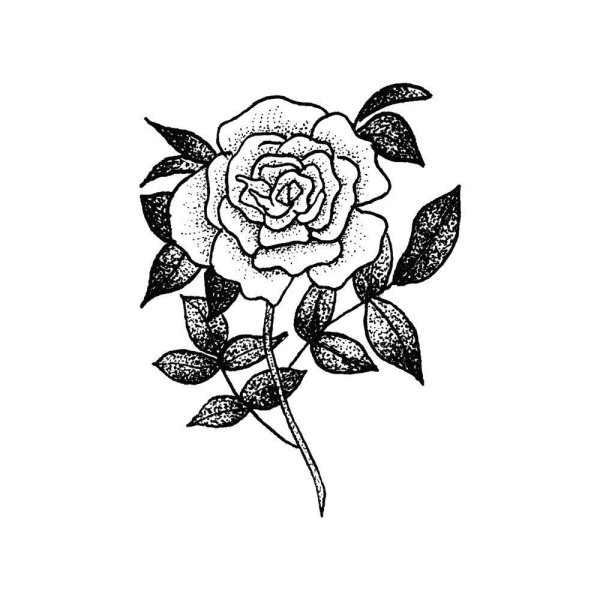 Красивые черно белые рисунки цветы