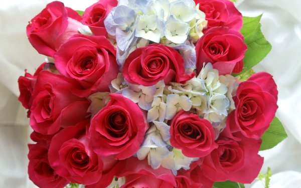 Красивый букет роз