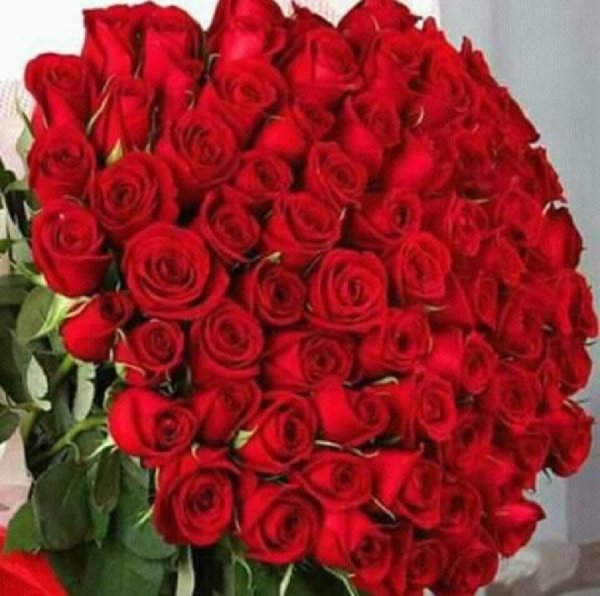 Гулар дунёси