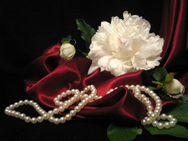 Цветы и жемчуг