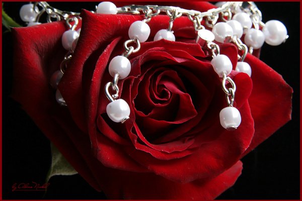 Красивые розы с бусами