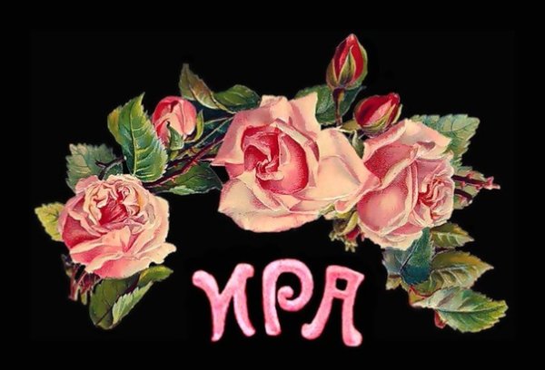 Букет роз для Ирины