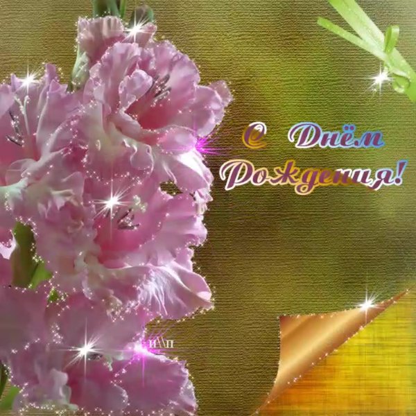 Красивые цветы для женщины мерцающие