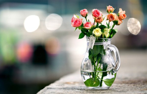 Цветы в кувшине